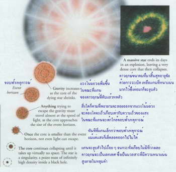 Black Holes