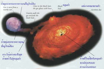 Black Holes
