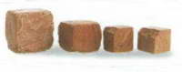 Indus Valley