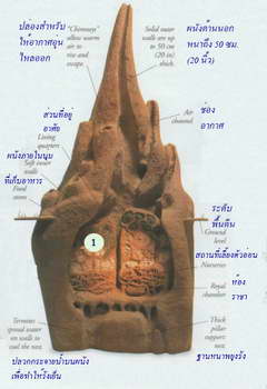 termite